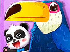 Baby Panda Bird Kingdom 2