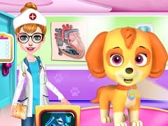 Fluffy Pets Vet Doctor Care