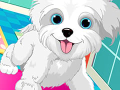 Puppy Pet Daycare Pet Puppy Salon For Caring