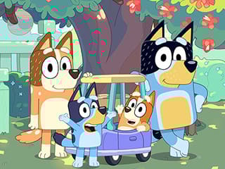 Bluey Daily Life