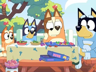 Bluey Family Picnic