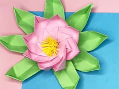 How To Make An Origami - Pond - Origami Flower - Water Lily