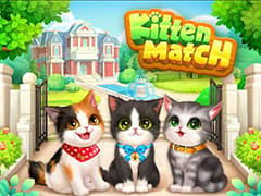 Kitten Match 7 Complete Another New Day