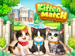 Kitten Match 7 Complete Another New Day
